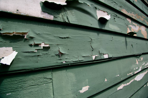 Best Property Management Cleanouts  in Blountville, TN