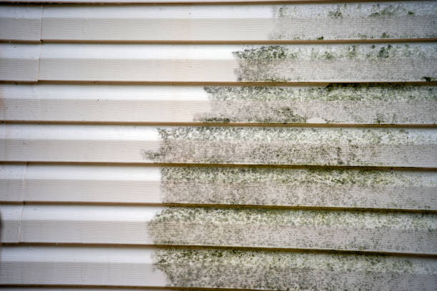 Best Furniture Removal  in Blountville, TN