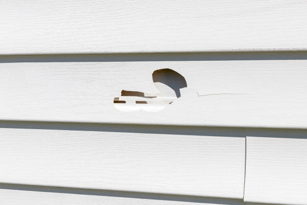 Best Carpet Removal and Disposal  in Blountville, TN